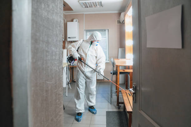 Best Emergency Mold Remediation  in Laurel, DE